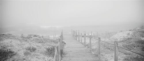 Trudy Neeven - Thema Grafische Fotografie - 2
